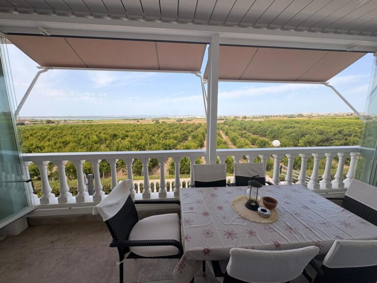 Una terraza con vista a un campo de olivos, ubicada en Guardamar del Segura