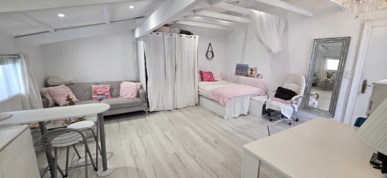 Una habitación con un sofá, una cama, una silla, un espejo y una mesa