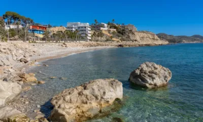 Alojamiento que admite mascotas en Alicante: 5 zonas