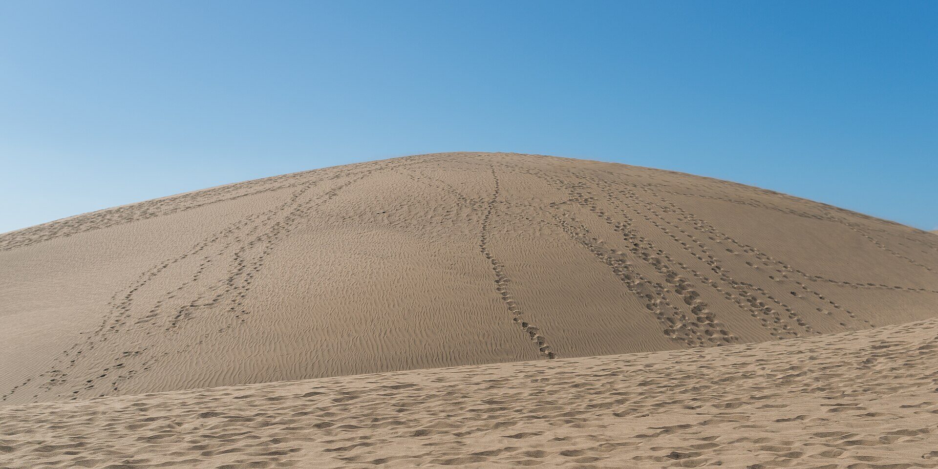 Playa del Inglés — alquiler vacacional sin comisiones